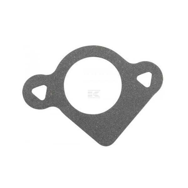 Abgasdichtungsring - 792389 - Briggs & Stratton