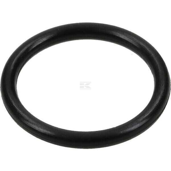 O-Ring - 799581 - Briggs & Stratton