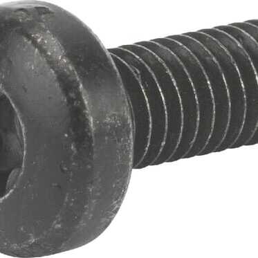 Castelgarden Bolzen OE - 1127278070 - Schraube TCB torx M6x16