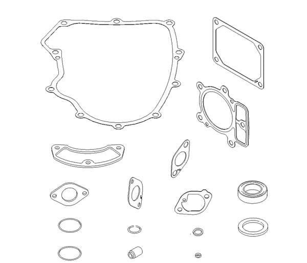 Briggs & Stratton Dichtungssatz - 699823 - Dichtungssatz