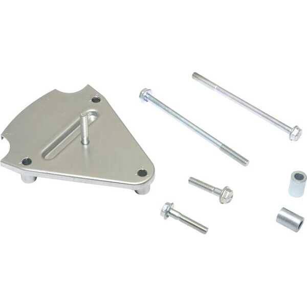 Vergaserschutz - 845543 - Briggs & Stratton