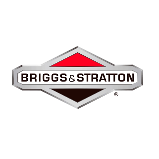 Vergaserschutz - 845543 - Briggs & Stratton